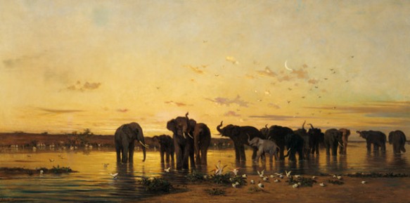 éléphant African-Elephants Charles Emile de Tournemine